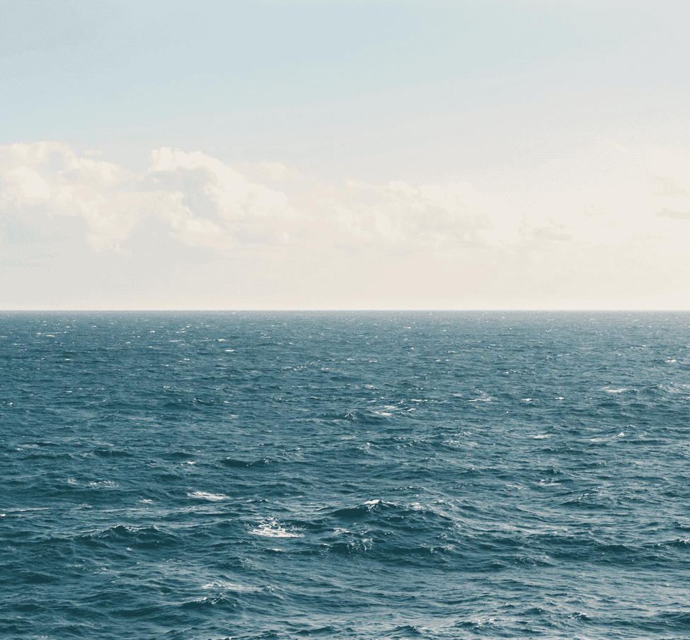 Screenshot 2024-05-31 141231